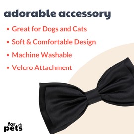 Huxley & Kent Bow Tie for Pets | Black Satin (Small) | Velcro Bow Tie Collar Attachment | Fun Bow Ties for Dogs & Cats | Cute, Comfortable, and Durable | H&K Bow Tie