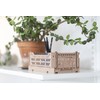Ay-Kasa Folding Crate, Sturdy Folding Box, Plastic, Stackable, Almond Green,