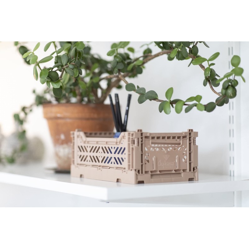 Ay-Kasa Folding Crate, Sturdy Folding Box, Plastic, Stackable, Almond Green,