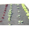 Weed Barrier Sheet - 150 g/m² - 2m Wide -