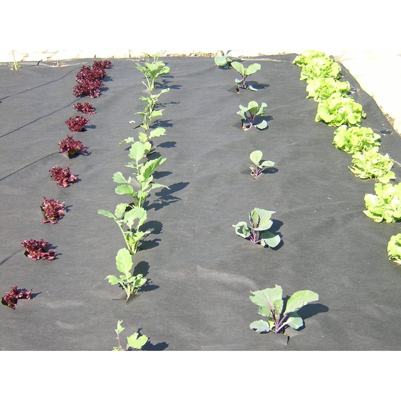 Weed Barrier Sheet - 150 g/m² - 2m Wide -