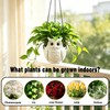 Self-Watering Hanging Planters, 3D Printed Owl Flower Pots