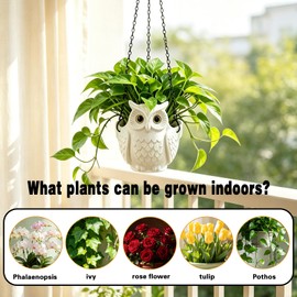 Self-Watering Hanging Planters, 3D Printed Owl Flower Pots