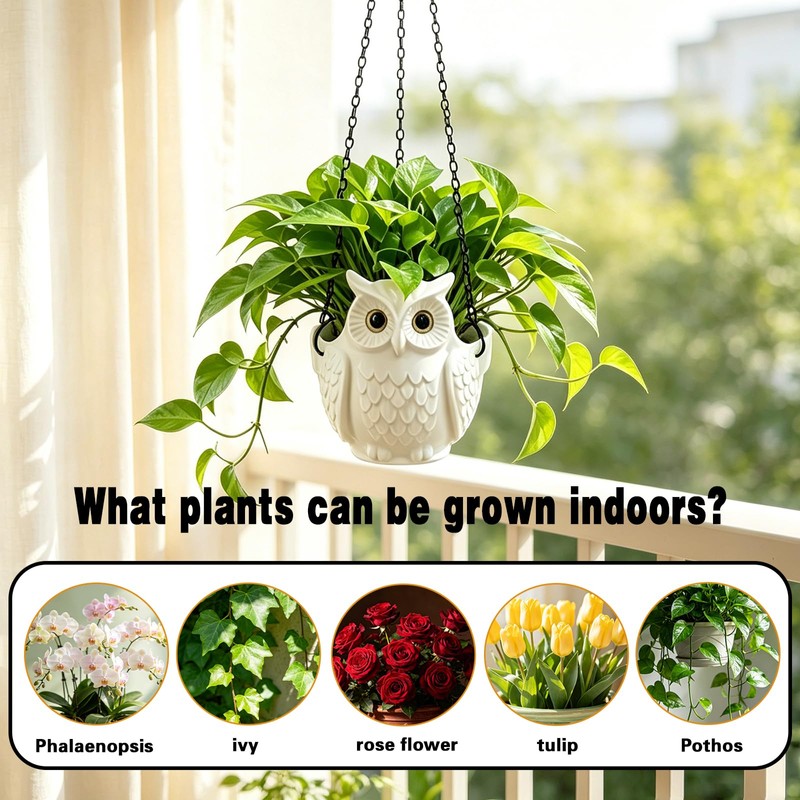 Self-Watering Hanging Planters, 3D Printed Owl Flower Pots
