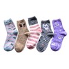 Mode Select Women's Socks, Cute, Cat Pattern, 5 Pairs Set,