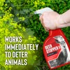 Deer Stopper II, Liquid Animal Stopper Repellent, All Natural, Effective
