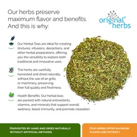 STEVIA TEA, (STEVIA REBAUDIANA BERTYONI) - 100% Pure & Natural, Wild-Crafted, Loose Leaf Herbal Tea - 50g (1.76oz) - Original Herbs Herbal Tea