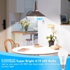 LED Light Bulbs 100 Watt Equivalent 1600 Lumens, A19 14W