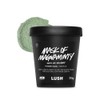 LUSH [Lush] Domestic Manufactured Mask of Magnaminty Self-Preserving 315g - Power Mask / Pack / [러쉬]국내제조 마스크 오브 매그너민티 셀프-프리저빙 315g - 파워 마스크 / 팩