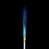 Bernzomatic 19425 JT850 Self-Igniting 20,000 BTU Outdoor Torch (JT850 +