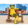 formano Frog on Bench with Moin Greetings and Seagull Made
