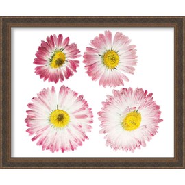 5x7 Ornate Antique Gold Shadow Box Frame - Interior Size 5x7 in by 1 Inch Deep - This Frame is Made to Display Items Up to 1 Inch Deep! Includes Shatter Resistant Acrylic Front, Backing, Hardware