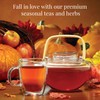 The Republic of Tea: Fall Harvest Tea Assortment Cube, 24