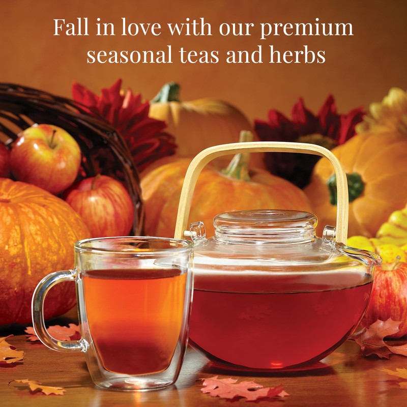 The Republic of Tea: Fall Harvest Tea Assortment Cube, 24