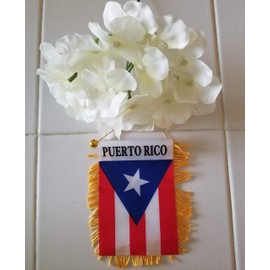 M&J`S STORES Set of 6 Boricua Puerto Rico Small 4 X 6 Inch Mini Flag Banner Rear View Mirror Puerto Rico Flag Fringed Window Hanging.