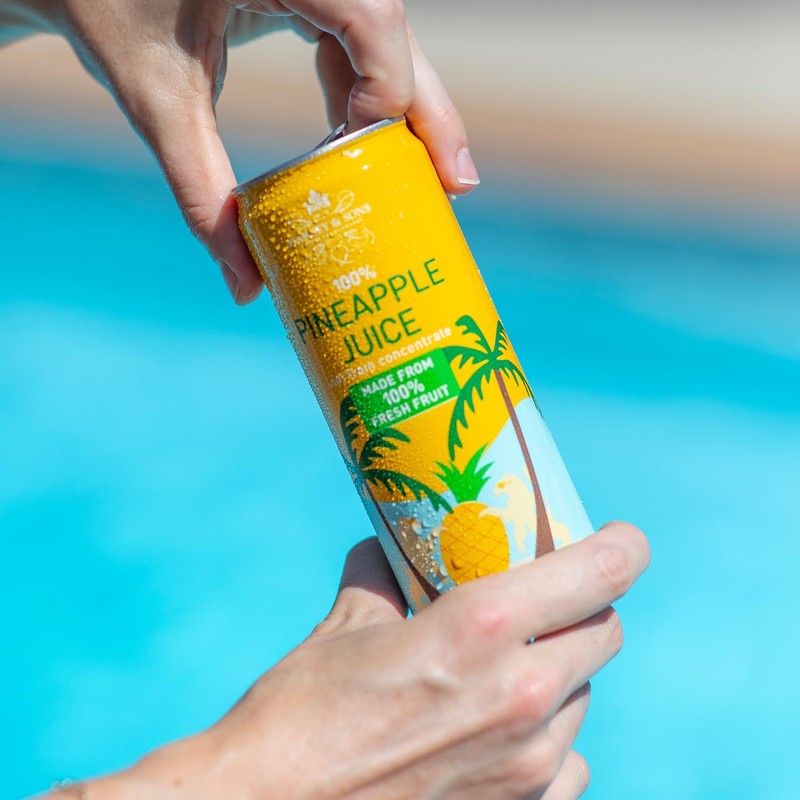 Harney & Sons Pineapple Juice, 10.8 oz can (Pack of