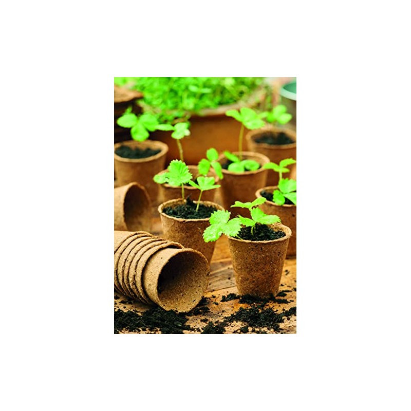 Gro-sure Fibre Pots Round 8cm 48pk Propagation kit, Brown