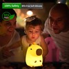 BemeedLigt Capybara Night Light,Cute Silicone Squishy LED Animal Lamp,Dimmable Nursery