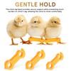 IMIKEYA Pack of 12 Chick Leg Braces Spreader Legs Humpel