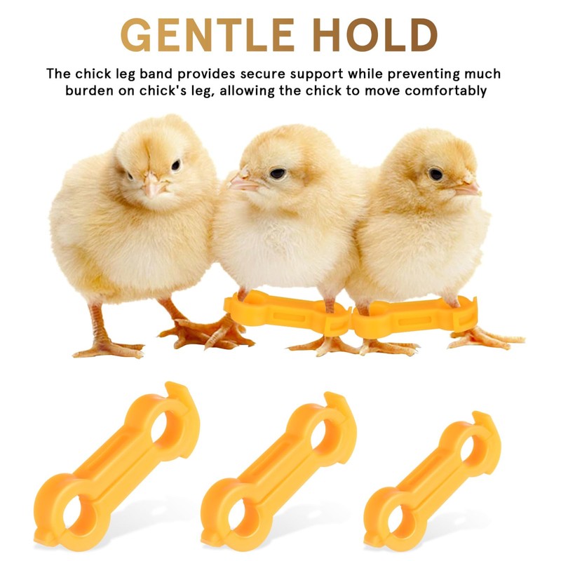 IMIKEYA Pack of 12 Chick Leg Braces Spreader Legs Humpel