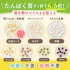 Kewpie Salad Club Soy Meat Mix (4 Types of Beans,