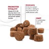 CobalaVet Vitamin B12 & B9 for Small Dogs & Cats