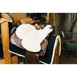 BazzillÂ The Amazing Premium Cover Stock Circus Peanut (PK) x Quantity of 1