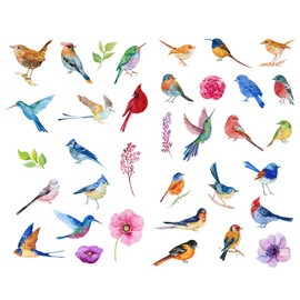 Seasonstorm Watercolor Birds Sparrow Precut Cute Aesthetic Diary Travel Paper Junk Journal Stickers Scrapbooking Stationery Sticker Flakes Art Supplies (PK421)