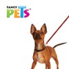 Fancy Pets Correa para Perro con Ultra Grip y Bandas