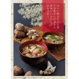 Marumatsu Bussan Boiled Potato with Yonezawa Beef, 19.9 oz (560 g)