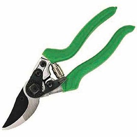 Freund-Victoria Gartenschere Pruning Shear 2950, Silver/Green, 40 x 25 x 15 cm