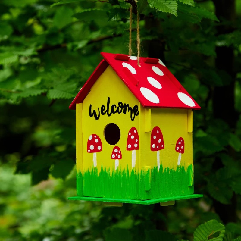 Baker Ross EF665 Wooden Birdhouse Kits (Pack Of 2) For