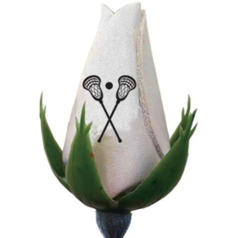 Lacrosse Rose