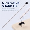 100 Pcs Insect Pins Specimen Pins Stainless Steel with Plastic