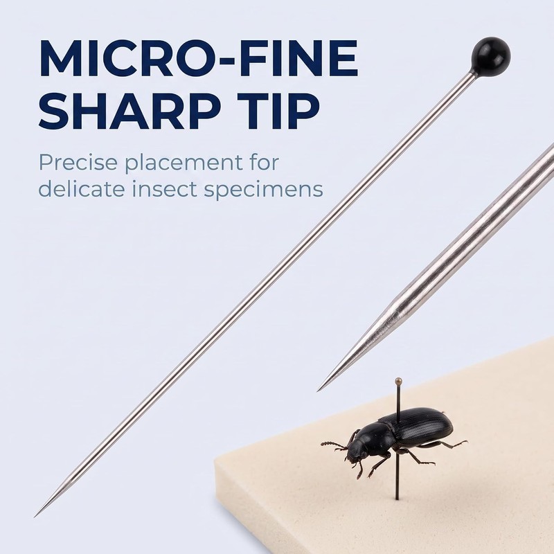 100 Pcs Insect Pins Specimen Pins Stainless Steel with Plastic