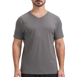 netdraw Men's Ultra Soft V-Neck Bamboo Viscose T-Shirt Comfy Lightweight Casual Basic Undershirts Pajama Tops (Charcoal Gray, Small)