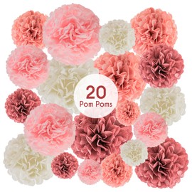 EPIQUEONE EpiqueOne 20 Piece Tissue Paper Pom Poms | Blush Pink, Dusty Rose, Mauve & Cream | Colorful Paper Flower Wall Decorations for Bridal Showers, Baby Showers, Weddings, Graduations, Tea Parties & More