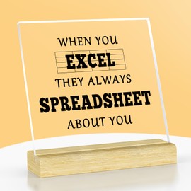 Excel Spreadsheet Gifts Excel Gift for Coworkers Acrylic Plaque with Stand Spreadsheet Gifts for HR CPA Accountant Gift Humor Keepsake Gift for Boss Colleague Friend Christmas Birthday Gift