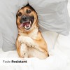 Standard Size Pillow Cases Set of 2 - Extra Soft