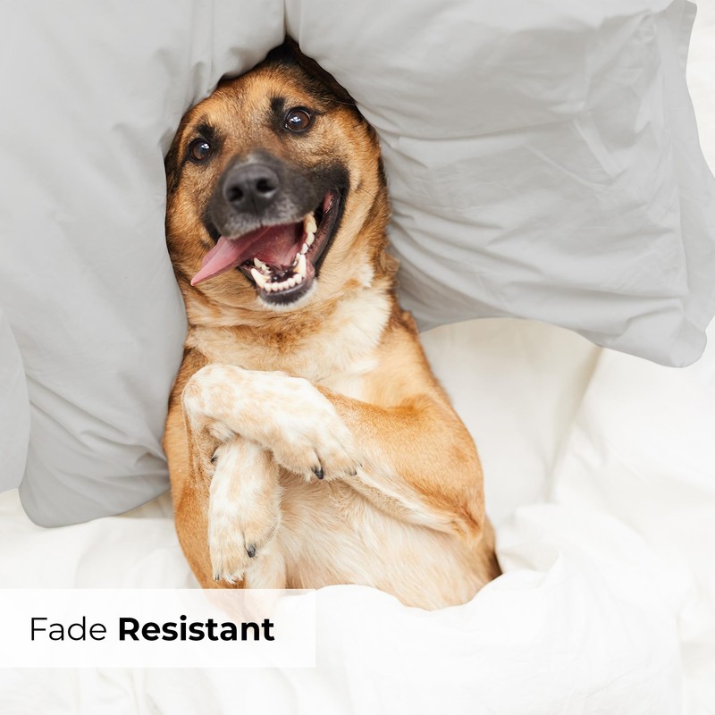 Standard Size Pillow Cases Set of 2 - Extra Soft