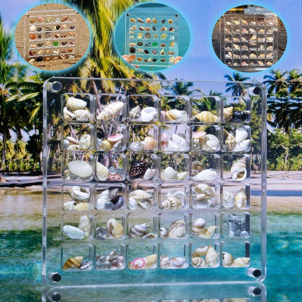 Acrylic Magnetic Seashell Display Box Seashell Storage Box 36 Grids
