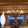 Jacqings Candelabra Flame Tip Frosted,Frosted Flame Tip Chandelier Light Bulb,
