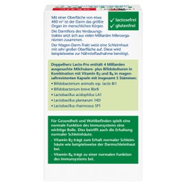 Doppelherz Lacto-Pro Milchsäurekulturen + Bifidokulturen + B2 + B6 - Vitamin B2 trägt zum Erhalt normaler Schleimhäute wie beispielsweise der Darmschleimhaut bei - 60 magensaftresistente Kapseln
