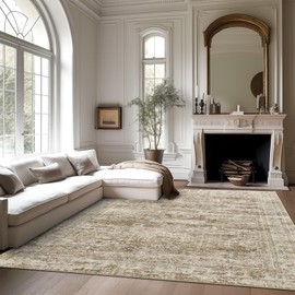 Soalmost 6x9 Area Rug for Living Room Washable 6x9 Rug Non-Slip Modern Rugs for Bedroom Dining Room Ultra-Thin Indoor Brown Rug