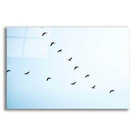 Epic Art 'V Formation' by Epic Portfolio, Acrylic Glass Wall Art, 24"x16"