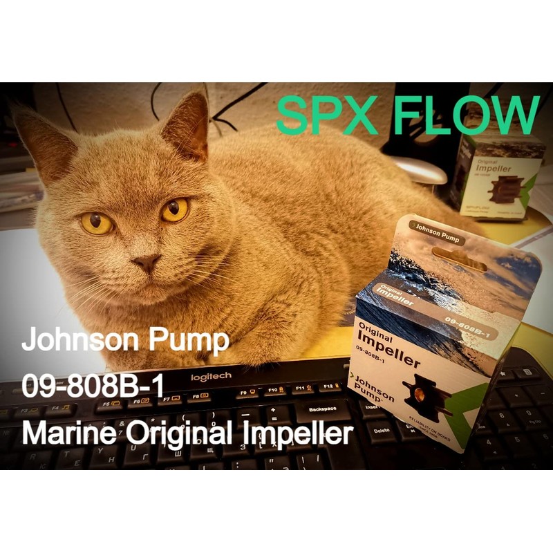 SPX Johnson 09-808B Marine Original Impeller Kit for Pump F35,