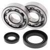 All Balls 24-1030 Crank Bearing and Seal Kit