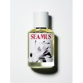 Spring Aesthetic EDP 50ml / 스프링 에스테틱 EDP 50ml