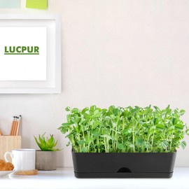 2-Pack Large Window Boxes Planters 16 Inch Rectangle Plant Box Rectangular Planters for Outdoor and Indoor Plants Plastic Windowsill Planter for Herbs Vegetable Flowers Long Window Sill Planters