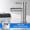 Stainless Steel Single Lever Hot Cold Water Mixer Tap with